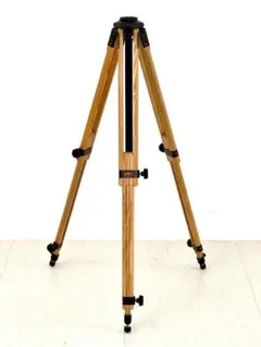 Item thumbnail for item 77ec9ab1-ceeb-48f2-8c18-e0bd1ce3f10b