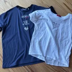 ZIDDY レピピ Tシャツ セット 150