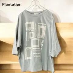 【美品】ISSEI MIYAKE プランテーション 半袖Tシャツ カットソー　Ｍ