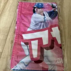 北海道日本ハムファイターズ 淺間大基 2025FAV 推しタオル 【未開封】