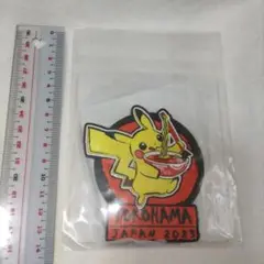 ピカチュウ　マグネット