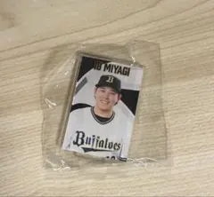 オリックスバファローズ　宮城大弥　アクリルスタンド