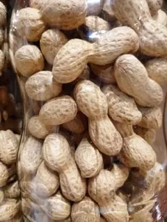 Item thumbnail for item 43b3fe93-cc1b-4298-bac4-2d64de1c3ad9