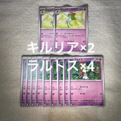 専用