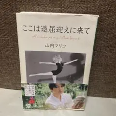 ここは退屈迎えに来て 山内マリコ