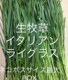 Item thumbnail for item 8c9b025a-5219-4be6-87f6-0182143d5696