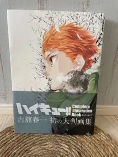 ハイキュー!! Complete Illustration book 終わりと…