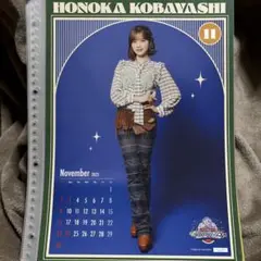 小林萌花クリアファイルまとめ売りバラ売り不可 小林萌花クリアファイルまとめ売りバラ売り不可 小林萌花クリア