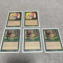 マジックザギャザリング　ラノワールのエルフ　5枚セット