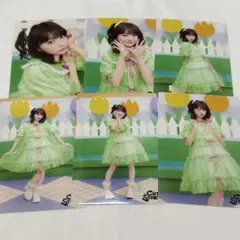 板倉可奈 生写真全6種コンプリートセット