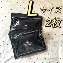 新品未開封AGARISM×GYDA アップミースタイリングブラ Lサイズfr