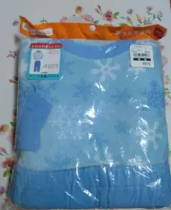 Item thumbnail for item d93156e6-d7da-4d94-ae20-071bfe745a31