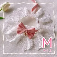 Item thumbnail for item 085ff0df-1ebc-4559-bab8-a6952ed07dab