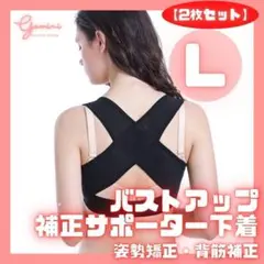 2枚 猫背矯正 ベルト 姿勢矯正 レディース L サポーター バストアップ A3