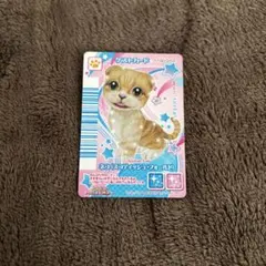ワンタメ ワンタメカード 猫 タカラトミー