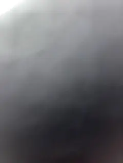 あせー様 確認用 テーブルウェア