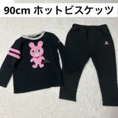 90cm 女の子 ミキハウス ホットビスケッツ 長袖Tシャツ 長ズボン 2枚