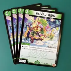 ROYAL-減亜5(ロイヤルベアファイブ) 4枚セット