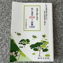 大学試に出た核心漢字2500＋語彙1000