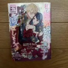 私と離婚させられそうになった王子が国を滅ぼしそうです