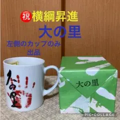 【横綱・大の里関】マグカップ１個のみ出品です。