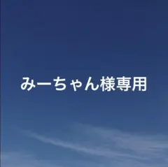 みーちゃん様　専用ページ