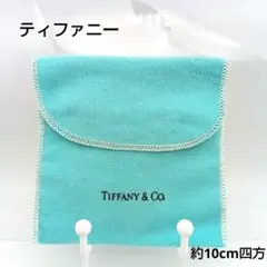 Tiffany & Co. ターコイズ 封筒型ポーチ 約10cm 未使用品