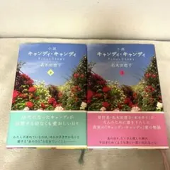 2025年最新】キャンディ・キャンディ final storyの人気アイテム