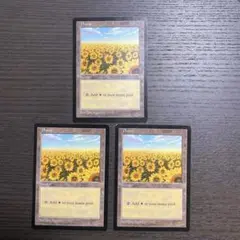 MTG APACランド APAC1 5枚セット　ひまわり平地　香港島ほか Amazon.co.jp: MTG APAC ランド ひまわり 平地① Plains Ron