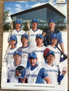 北海道日本ハムファイターズ クリアファイル