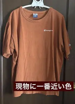 Champion Tシャツ X-LARGE