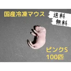 Item thumbnail for item 5865de08-7e85-4885-9aad-1d44d9fde8d7