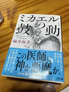 ミカエルの鼓動　柚月裕子