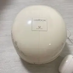 家庭用エンダモロジー LPG WELLBOX ウェルボックス　モモエリ　モデル LPG社エンダモロジーwellbox 家庭用正規品
