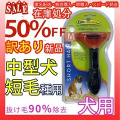 Item thumbnail for item 77e2ee8a-d559-4c27-98d4-366c5f25435f