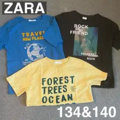 ZARA カラフルTシャツ3枚セット 140cm 134サイズ
