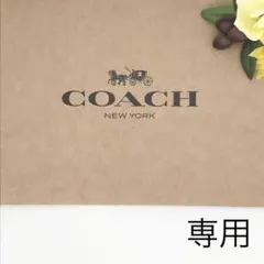 COACH 大人気! トリガースナップ バッグ チャーム ハート プリント 新品