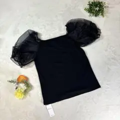 極美品 【アラマンダ】《38》 カットソー パフスリーブ シースルー ブラック