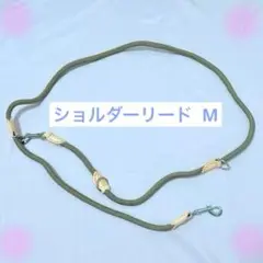 Item thumbnail for item e2dff931-7f63-4e7f-ba22-c536889089b2
