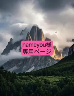 nameyou様　専用ページ