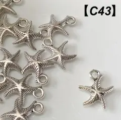 【C43】ハンドメイド シルバーチャーム(ヒトデ)