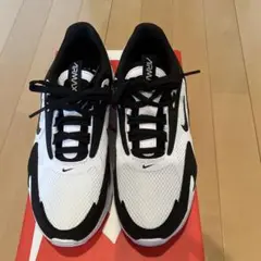 Nike Air Max シューズ ホワイト/ブラック