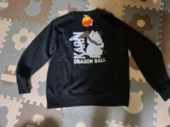 Item thumbnail for item 7670760a-14c8-4c21-b52a-0ac3abdbdbf4