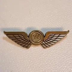 【レア•美品】ノースウエスト航空 ウイングバッジ（ジュニアウィング）ヴィンテージ