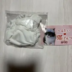 Item thumbnail for item cf2375dd-d25b-4a1d-aaba-e3a9e4ed58b3