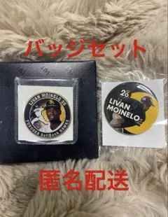 ソフトバンクホークス　モイネロ選手　20周年記念メダル