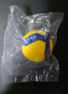 匿名配送　ハイキュー　スクイーズ