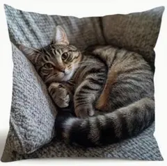 くつろぐ猫さん　 クッションカバー49　インテリア雑貨　 45cm　両面プリント