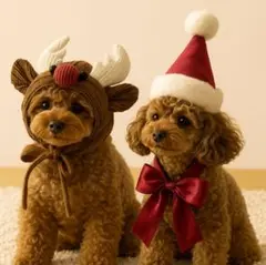 Item thumbnail for item e00b5d6e-14e6-44cf-b14a-009400922dfa