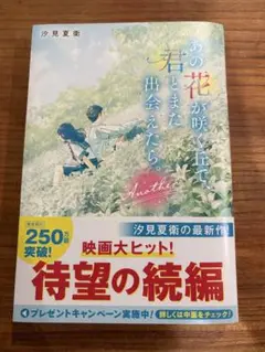 あの花が咲く丘で、君とまた出会えたら。Another